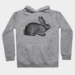 Rabbit - Hare - Bunny - nature - drawing, animal Hoodie